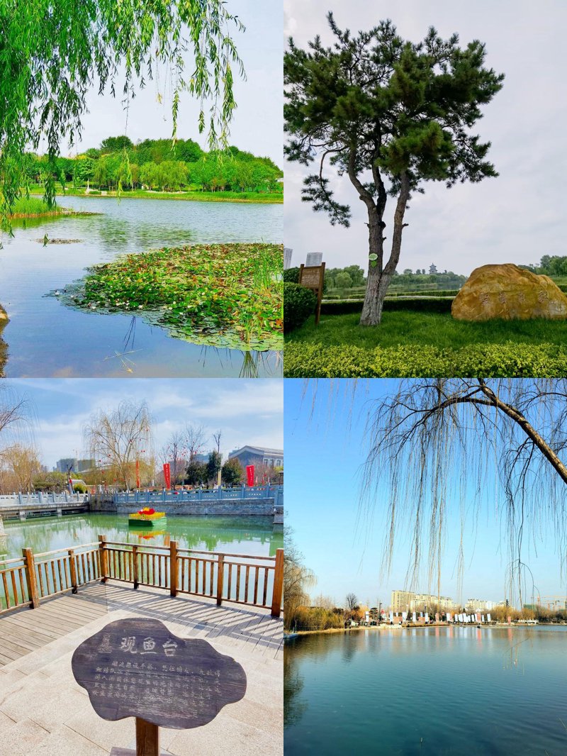 宁阳县旅游